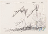 KT 2006 117
<br/>
Plantstudie
<br/>
<em>Burgeff, Hans Karl (1928 - 2005)</em>